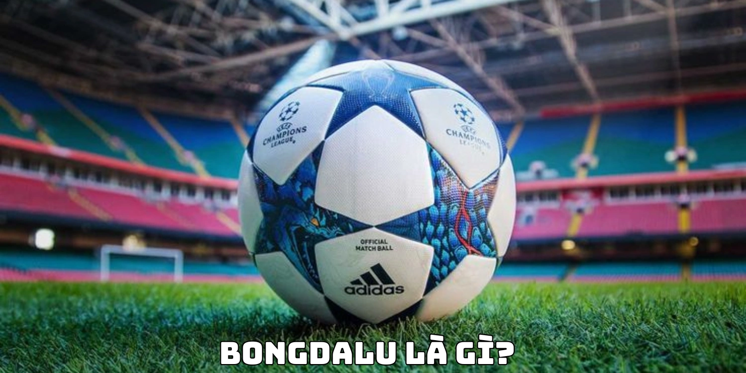 Bongdalu là gì?
